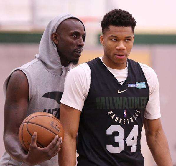 动的统治力 动的统治力